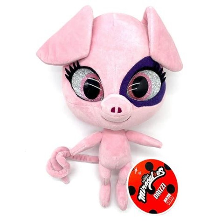 What is the pig Kwami power?