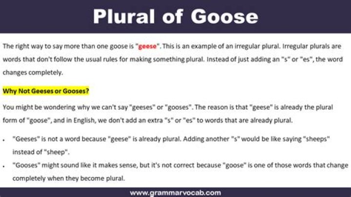 What is the plural of gooses?