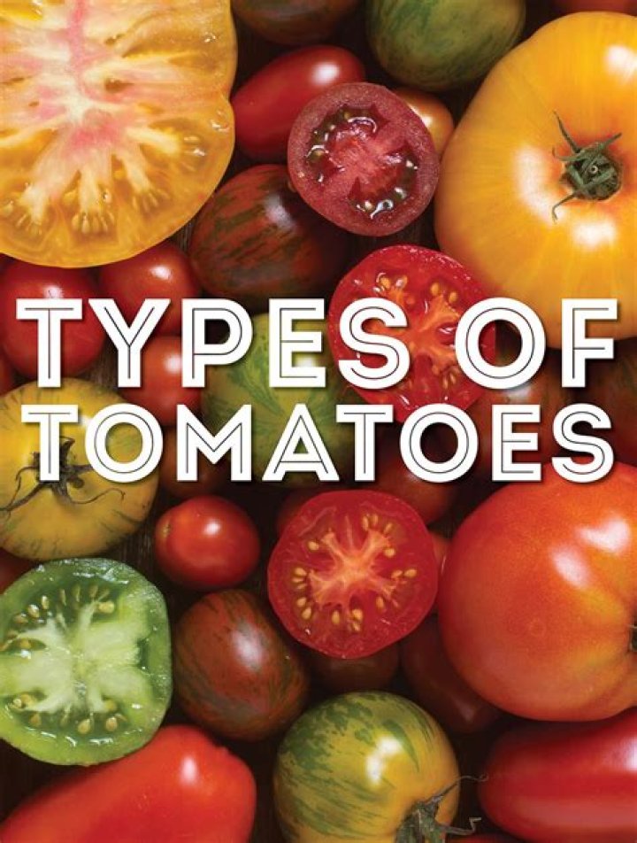 What kind of tomatoes produce all season?