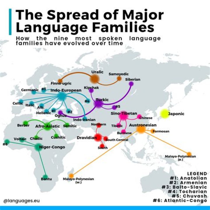 What language is the future?