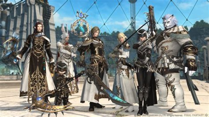 What role is bard ff14?