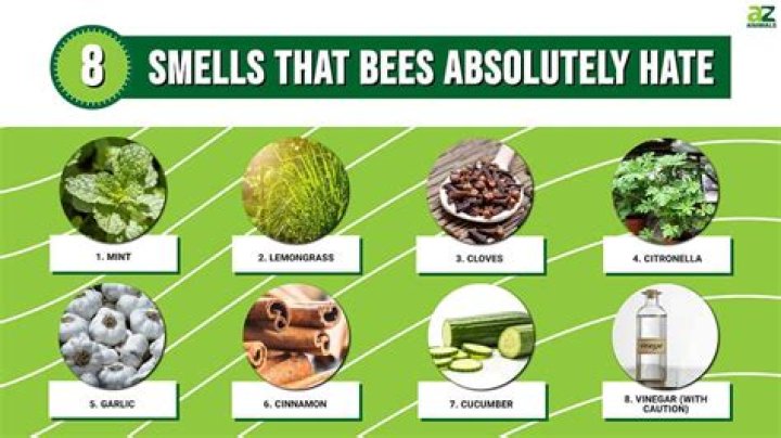 What scent keeps bees away?