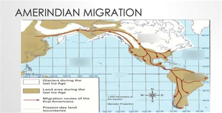 Where did Edo migrated from?