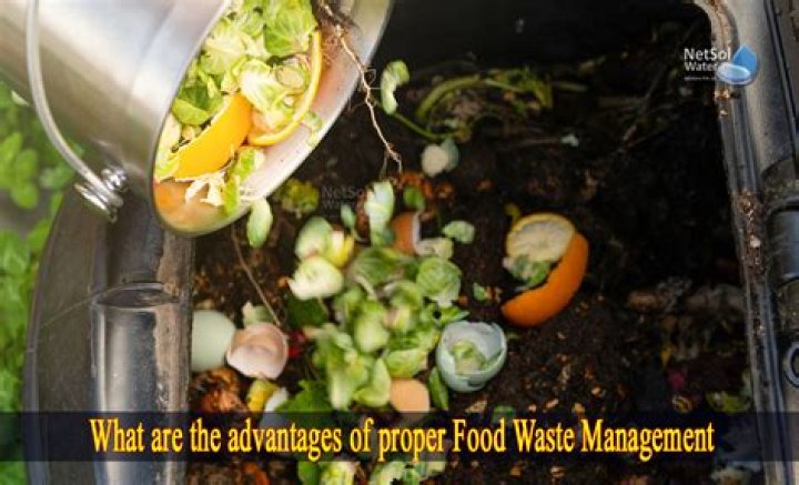 Which country has the best food waste management system?