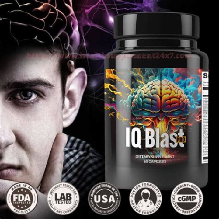 Who created IQ?