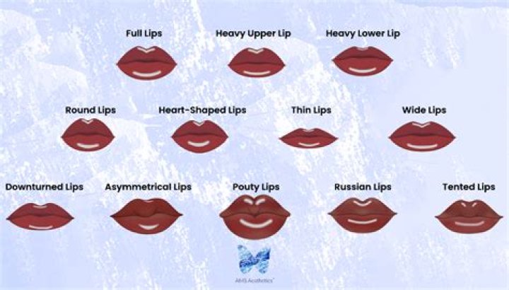 Who did Lip love most?