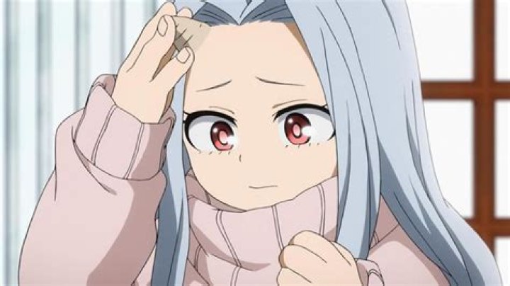 Who is Eri's brother MHA?