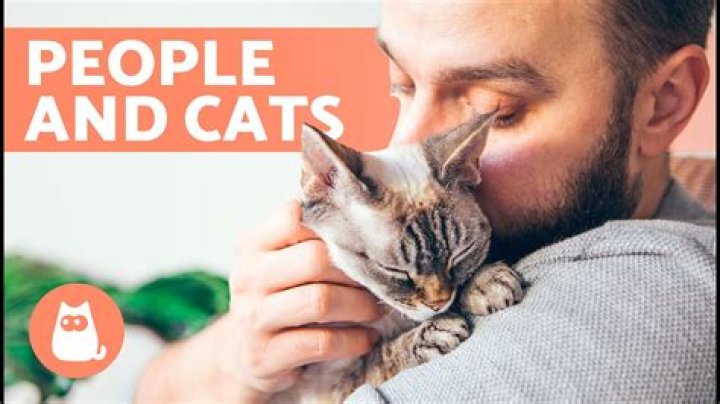 Why are humans attracted to fluffy things?