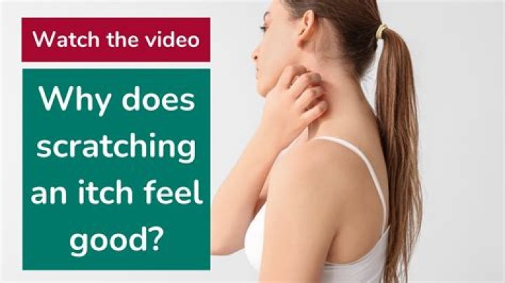 Why does it feel good to lay down?