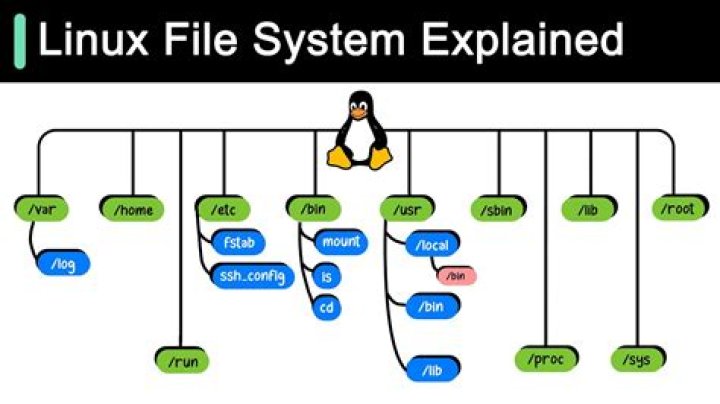 Why echo is used in Linux?