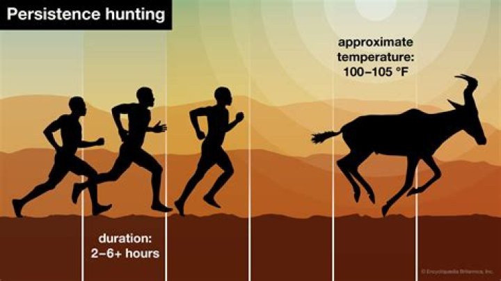 Why is jogging so much harder than walking?