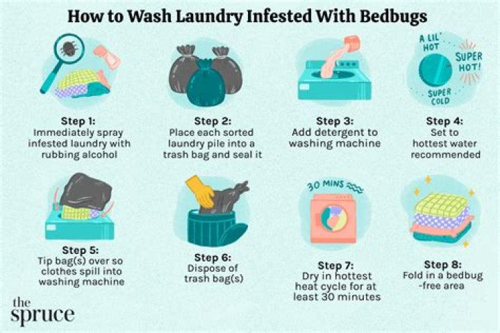 Will washing clothes get rid of moth eggs?
